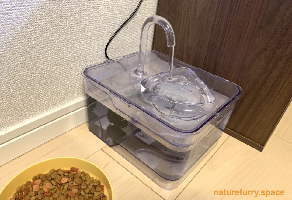 蛇口からしか水を飲んでくれない猫に朗報 蛇口型の給水器npetを購入してみた ノルウェージャン専門のブリーダーnaturefurry 関西 大阪 京都 奈良 滋賀 兵庫など対応